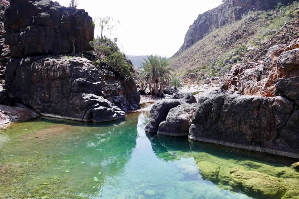 Freshwater Of Socotra Island